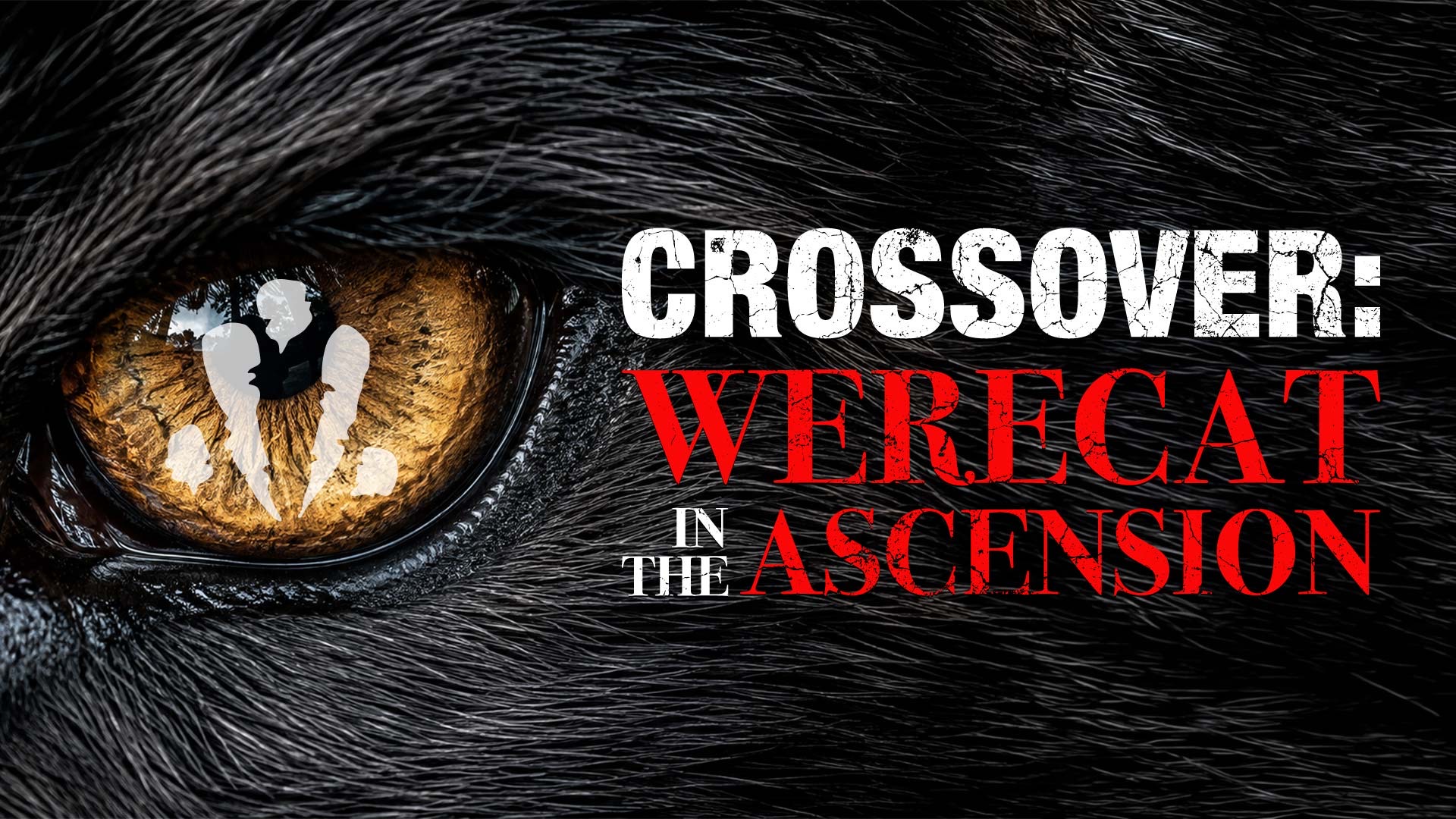 Crossover: Werecat in the Ascension Part 1